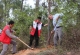 华侨区组织开展“绿美大干一场”机关单位植树活动