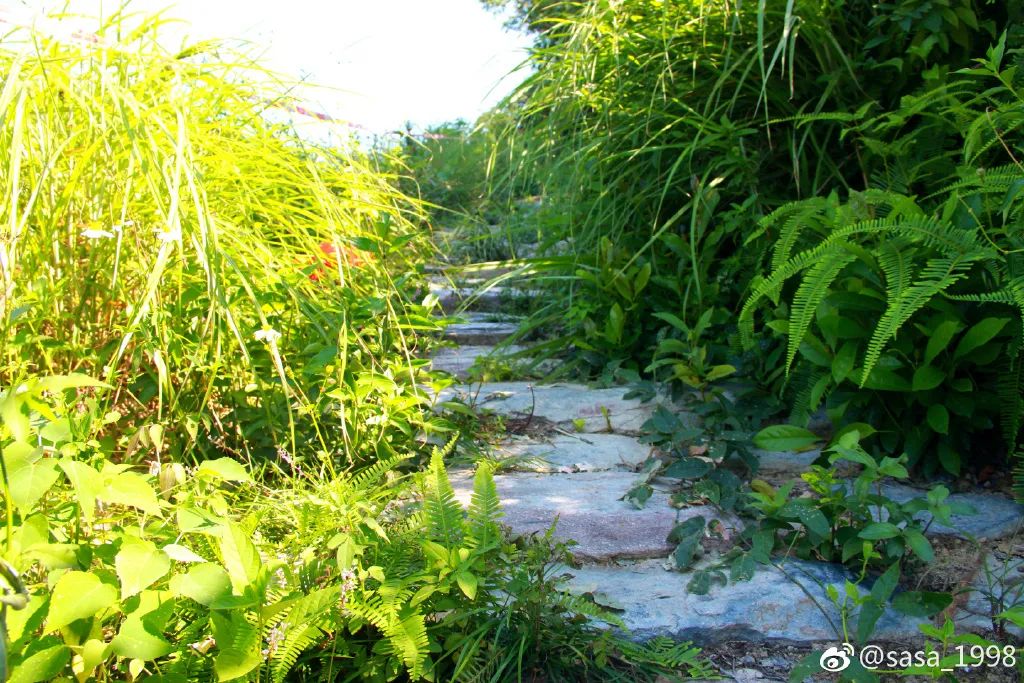 雄关古道——羊蹄岭