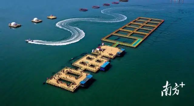 碣石湾国家级海洋牧场示范区休闲垂钓平台效果图