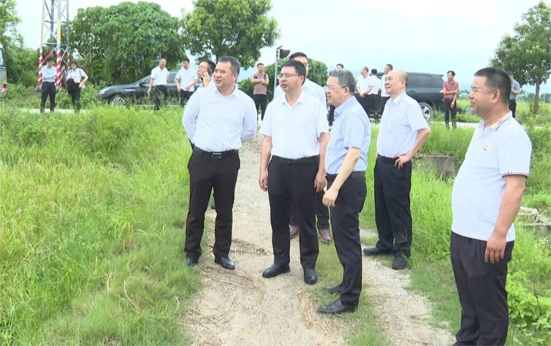 曾繁文到海丰梅陇农场调研督导“百千万工程”实施工作