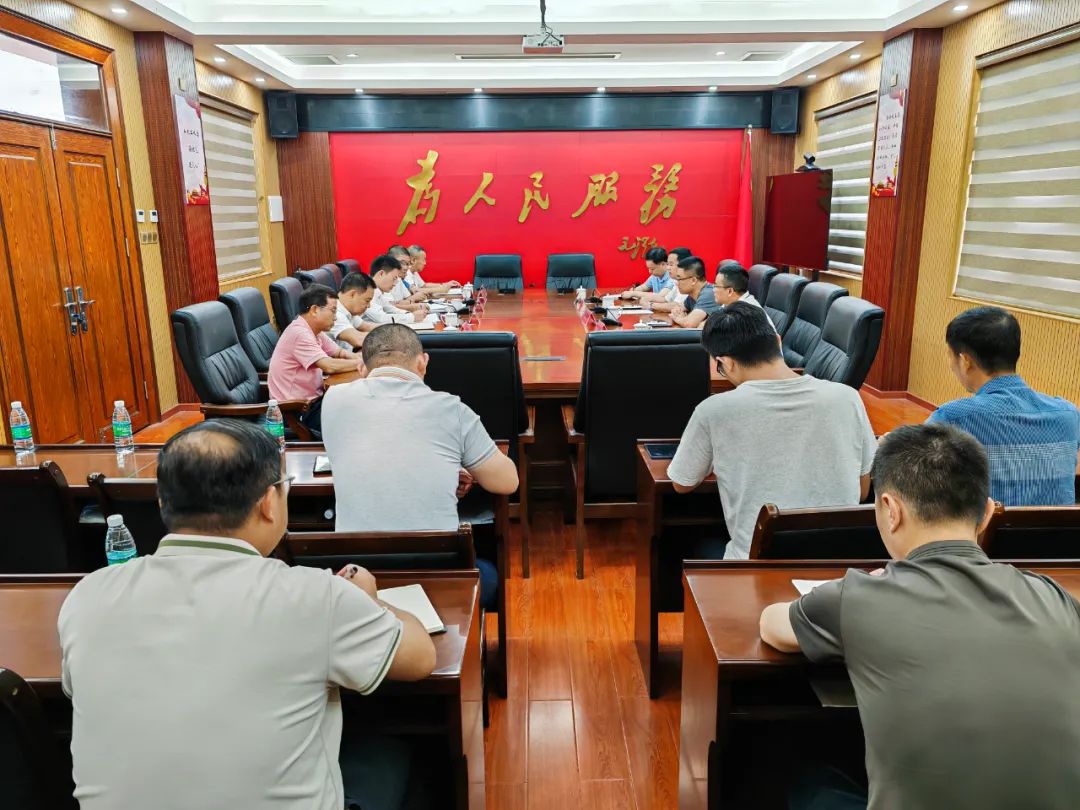 市领导肯定海丰美丽圩镇建设和违法用地图斑整改工作