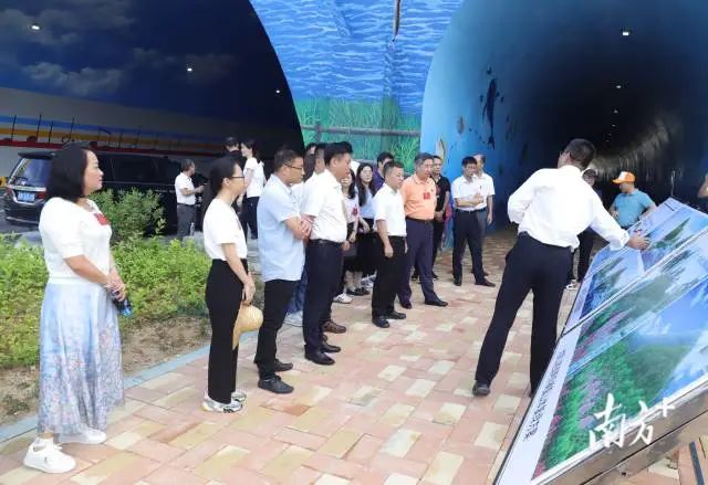 人大代表专题调研赋能绿美汕尾生态建设