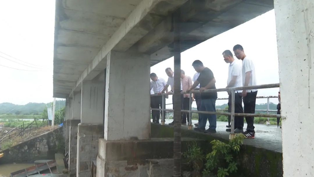 市领导到海丰县检查指导水利设施灾后除险加固工作