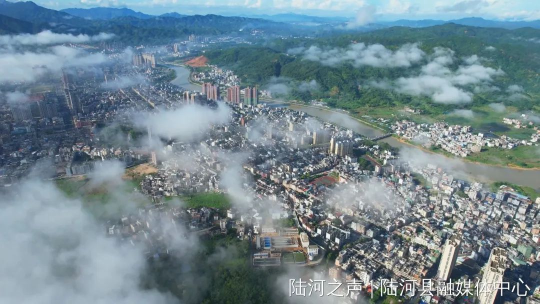陆河县文广旅体局作反思总结