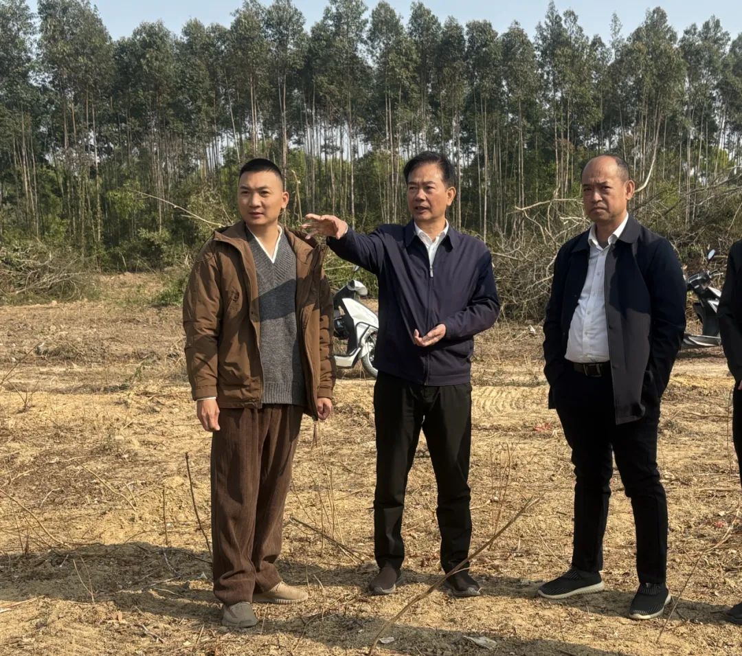 林军到陆丰市督导耕地保护工作时强调 讲究方式方法 全力攻坚克难按时保质完成目标任务 ...