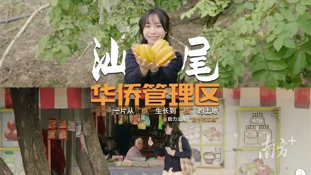 汕尾华侨管理区 ，是时候好好认识一下了！