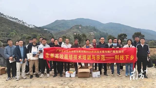 汕尾城区东涌这个村打破“姜”局谋销路！ ... ...