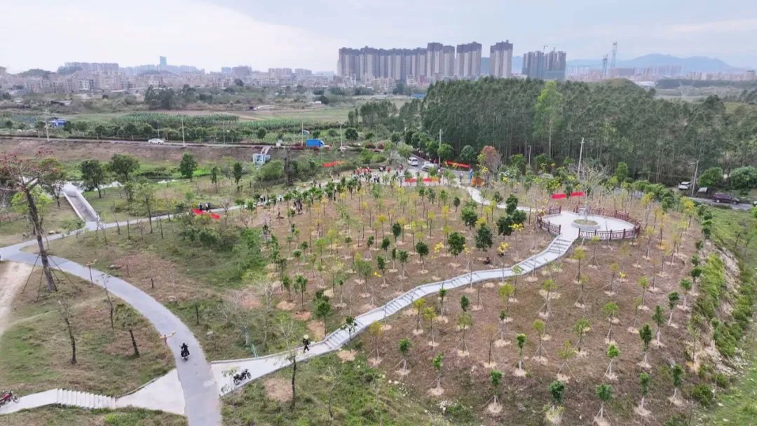 海丰县人大常委会组织开展“人大代表齐参与 共建绿美新海丰”主题植树活动 ... ...