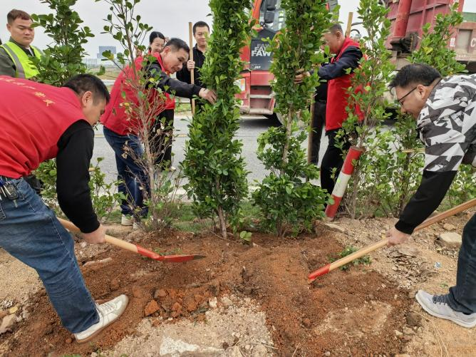 红草镇组织开展“春暖三月学雷锋 植树护绿扬新风”植树活动 ... ...