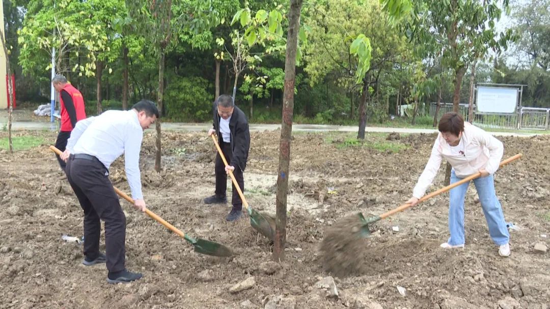 海丰县妇联开展“同植幸福树 共建绿美家”植树活动