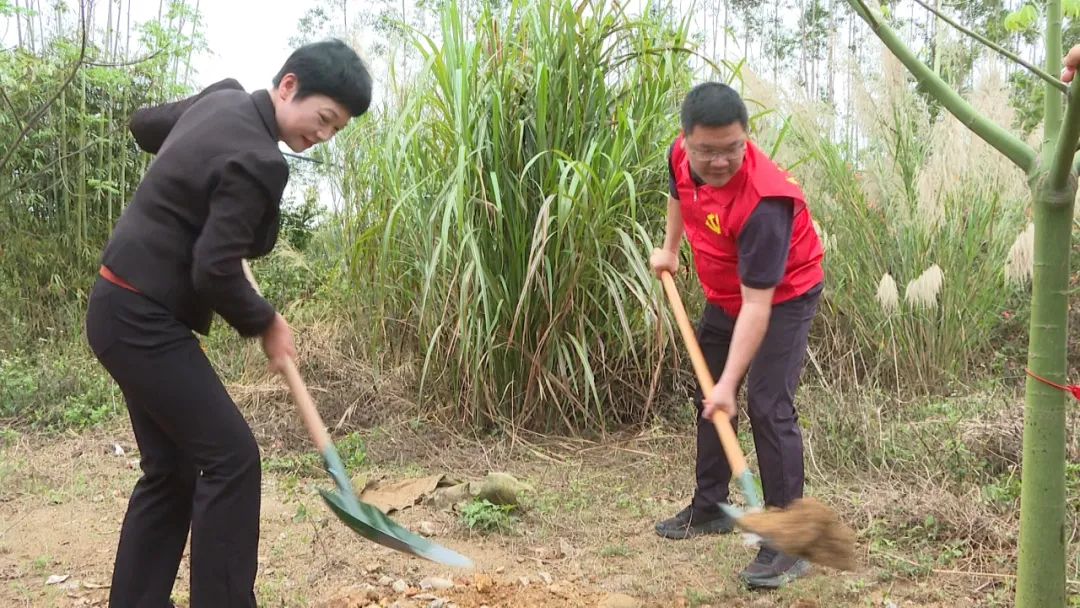 公平镇开展“我为全运种棵树”义务植树活动
