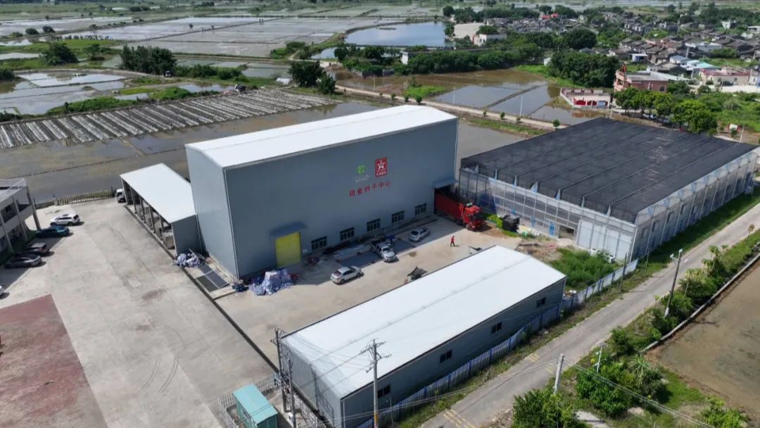 海丰强化社会化服务支撑 全力护航晚造生产