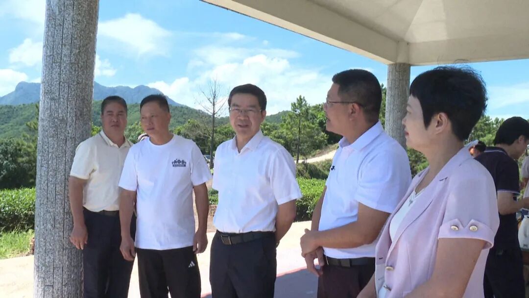 吴城鑫率队到海丰开展集体林权制度改革工作情况专题调研